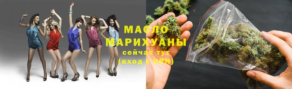 молекула духа Бородино